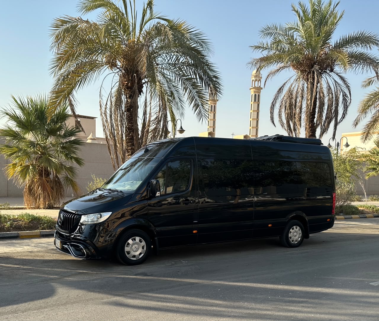Black Sprinter